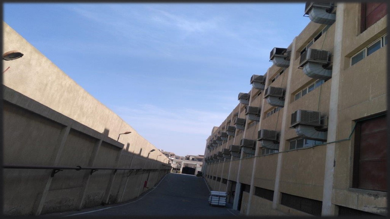 Slide8